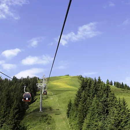 Gratlspitz By Interhome Apartment Oberau